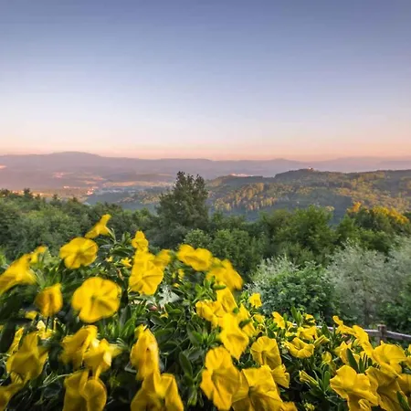 In - Kranjska Krain 26039 Сasa de vacaciones