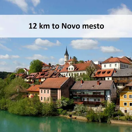 In - Kranjska Krain 26039 *