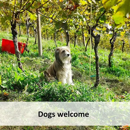 In - Kranjska Krain 26039 Сasa de vacaciones *