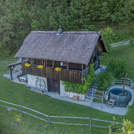 In - Kranjska Krain 26039 Holiday home *