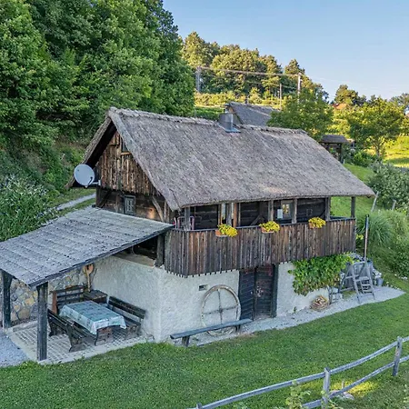 In - Kranjska Krain 26039 Holiday home *